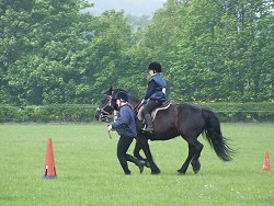 Meadow Valley Fell Ponies and Fell Pony Society East Midlands Support Group Trotting and Fun Day