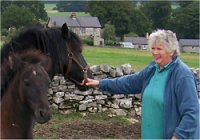 May Longsdon and Fell Ponies
