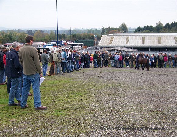 Crowds at Penrith Fell Pony sales 2007